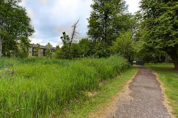 Grass Road at Commons at Avalon Park Apartments, Oregon, 97224