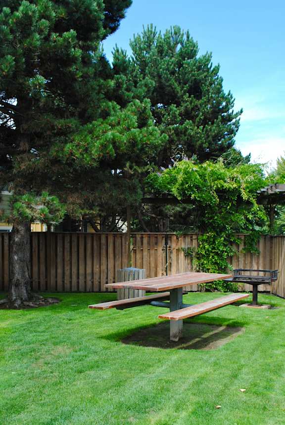 Greenery at Commons at Hawthorn Village Apartments, Hillsboro, Oregon