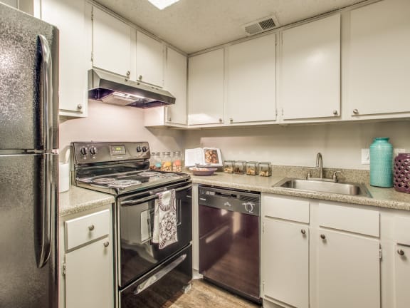 Electric Range In Kitchen at Newport Apartments, CLEAR Property Management, Texas