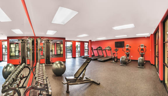 The Fitness Center at the Crystal Riviyera.