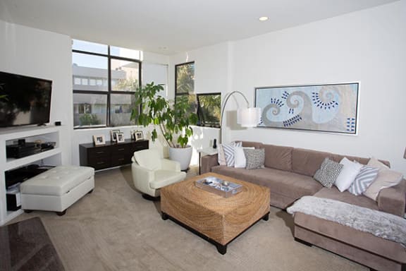 Spacious and modern living room