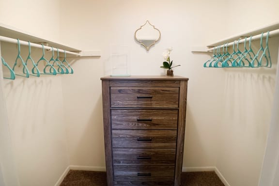 Large Walk-In Closets at Crown Station Apartments, Amelia, OH, 45102
