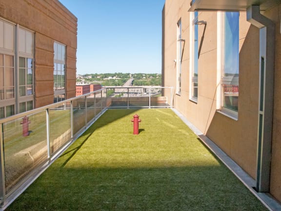 Pet Park at Custom House, Minnesota, 55101