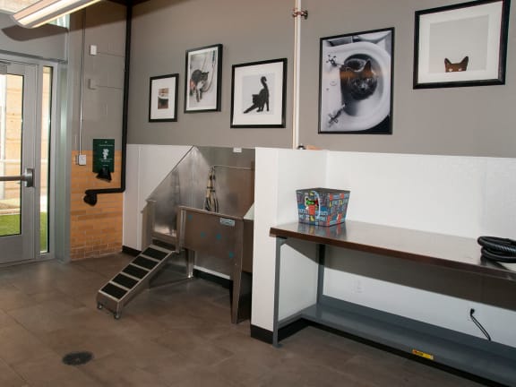 Pet Spa & Dog Run at Custom House, Minnesota