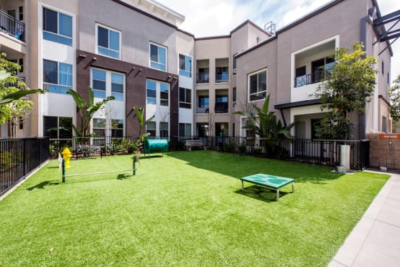 Dog Park with Dog Wash at Accent Apartments, Los Angeles, California