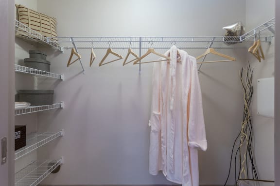 Closet View at Orchid Run Apartments, Naples