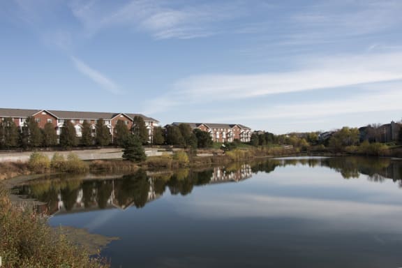 A serene lake with buildings in the background under a clear sky.