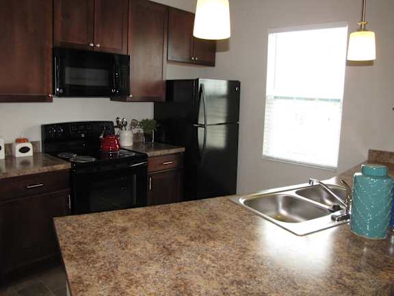 New sleek black kitchen appliances