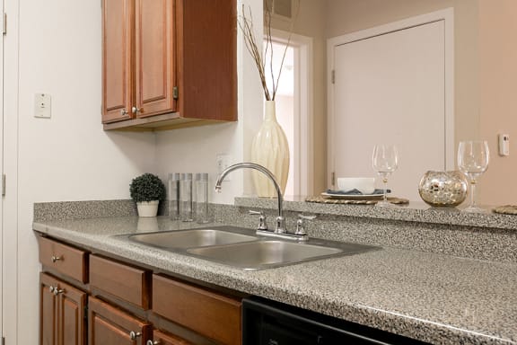 Gooseneck Sprayer Faucets at Canton Club