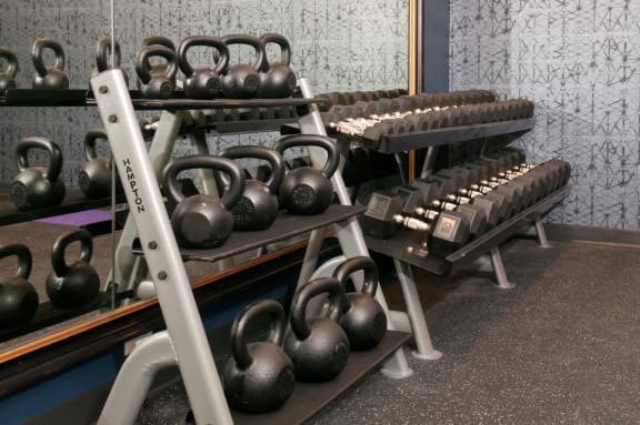 Fitness Center with Free Weights at Residences at 1700, Minnetonka, MN