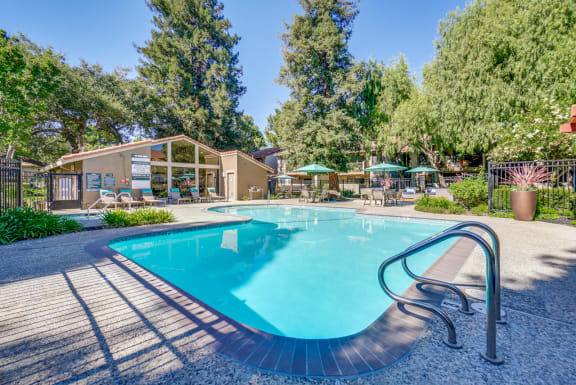 Pool with lounge chairs  l Terra Willow Glen
