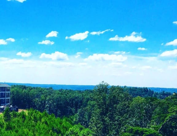 Large Trees And Mountains at The Crest at Laurel Canyon, Canton, GA