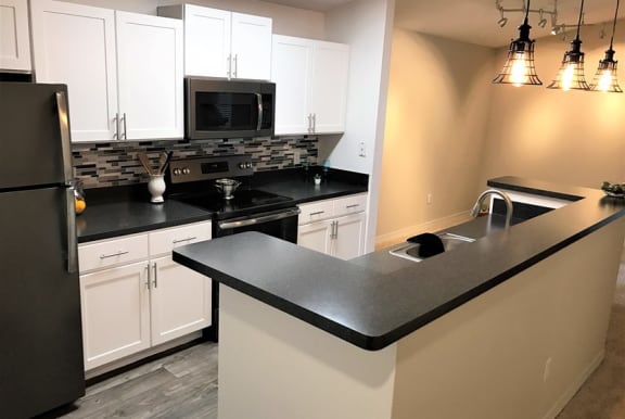 Upgraded Kitchen with Stainless Steel Appliances at Enclave at Lake Underhill, Florida, 32803