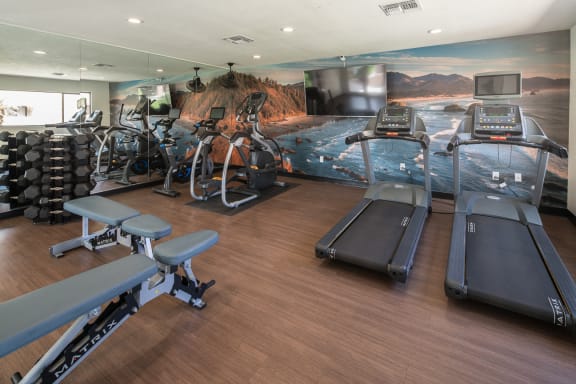 State Of The Art Fitness Center at Salado Springs, Tempe, AZ, 85281