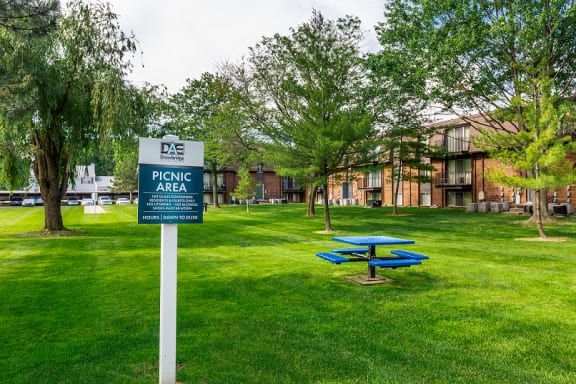 Outdoor Picnic Area at Drawbridge Apartments East, Michigan, 48045