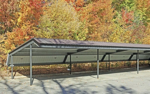 Carport at Franklin River Apartments, Southfield, 48034