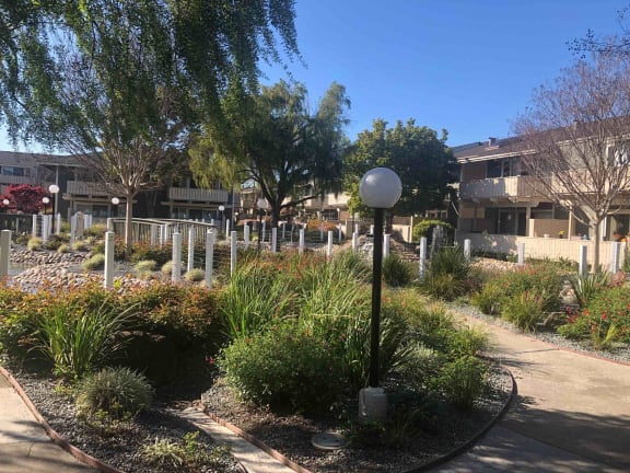Main pond walkway