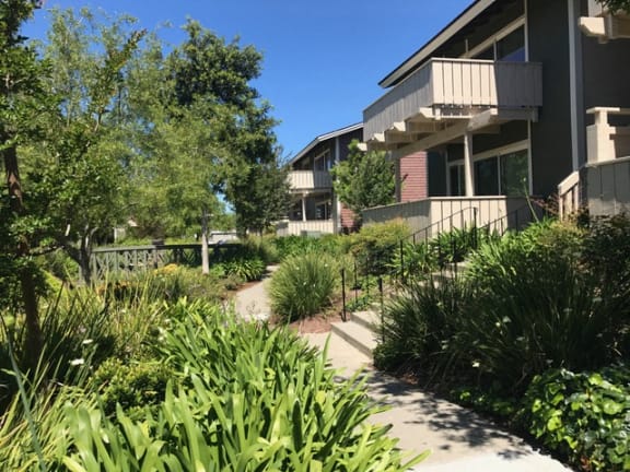 Walkway near apartments