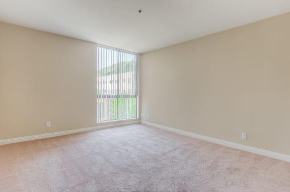 Master Carpeting at Hillside View, Los Angeles, CA