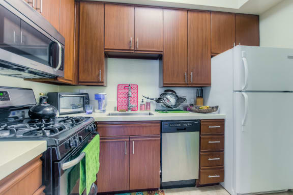 Updated Kitchens With New Cabinets And Appliances at Hollywood Vista, Hollywood, CA