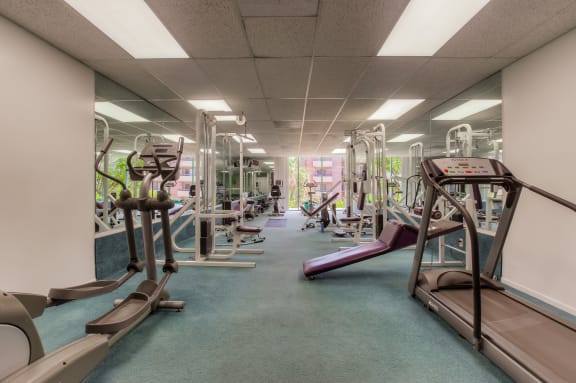Fitness Center With Modern Equipment at La Vista Terrace, Hollywood, CA