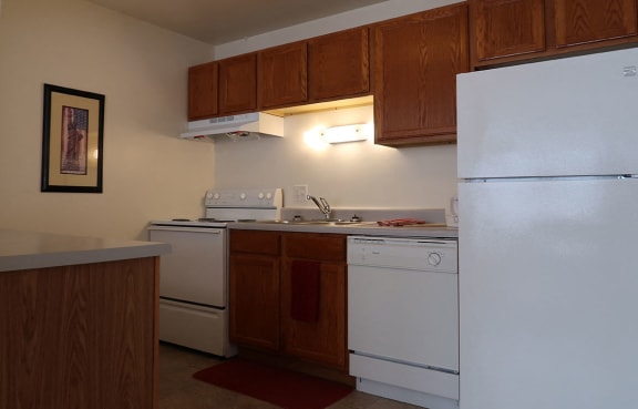 Kitchen Appliances at Pine Ridge, Moline, IL