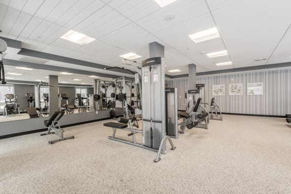 Excercixe equipment at the fitness center at The Preserve