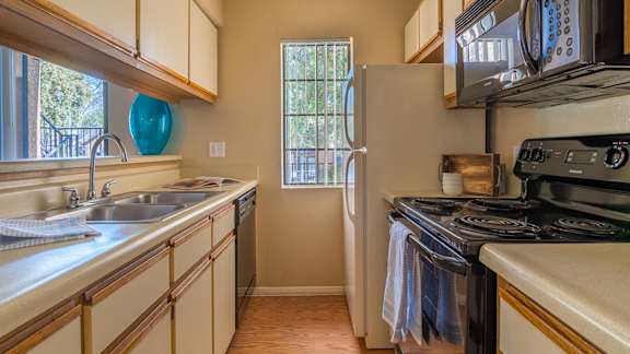 Arboretum Kitchen with Plenty of Cabinetry
