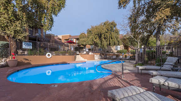 Arboretum view of lounge area by the pool