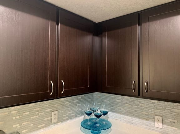 Contemporary Dark Wood Cabinets in Oro Valley