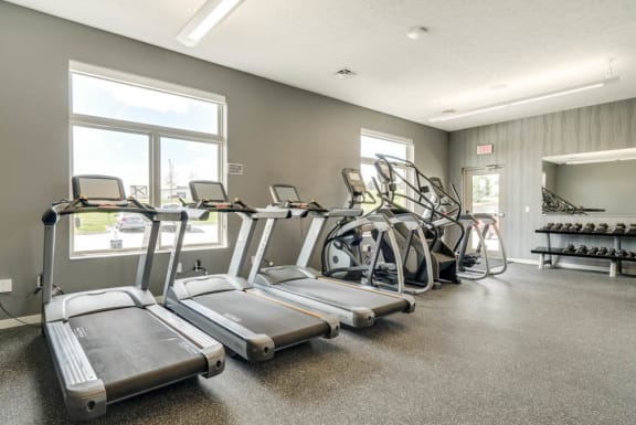 A gym with treadmills, exercise bikes, and dumbbells.
