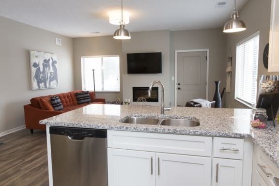 A kitchen with a granite countertop and a stainless steel dishwasher.