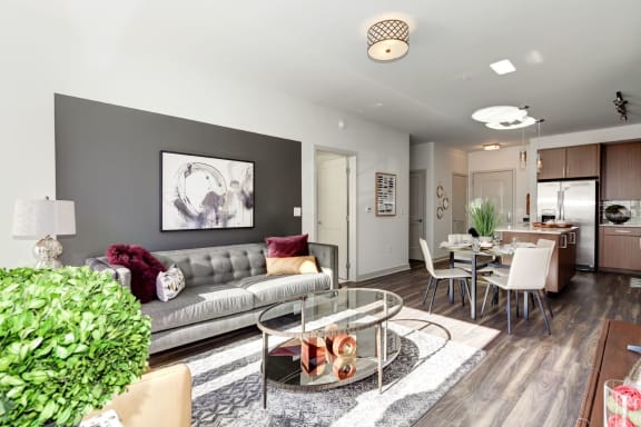 Plank Style Floors at TENmflats, Maryland