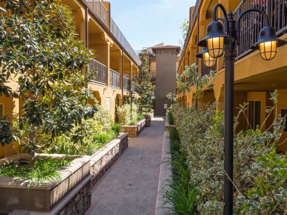 Photo Gallery at The Verandas, Canoga Park