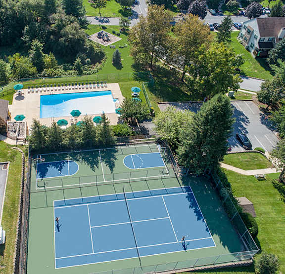 Pool and Common Amenities