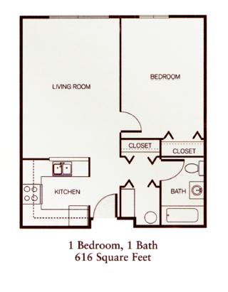 Bright and spacious one-bedroom apartment at Park View at Randallstown featuring wall-to-wall carpeting, large closets, and abundant natural light—designed for comfortable senior living.