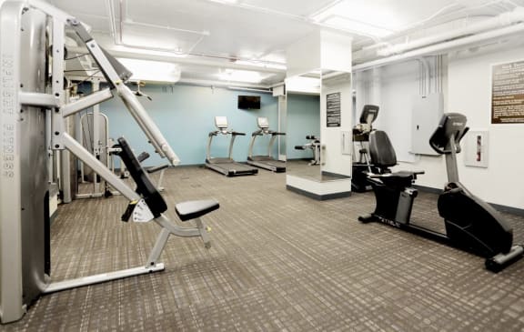 Fitness center with cardio and weight lifting machines at Eden Commons, Illinois