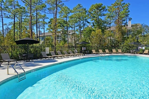 Salt Water Swimming Pool