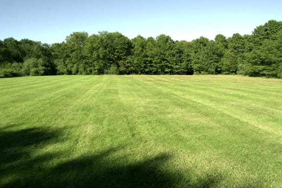 Turf Sports Field at Brookwood at Ridge, Ridge