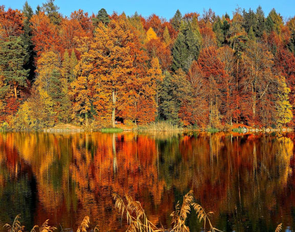 Lake park at Rose Heights Apartments, Raleigh, NC
