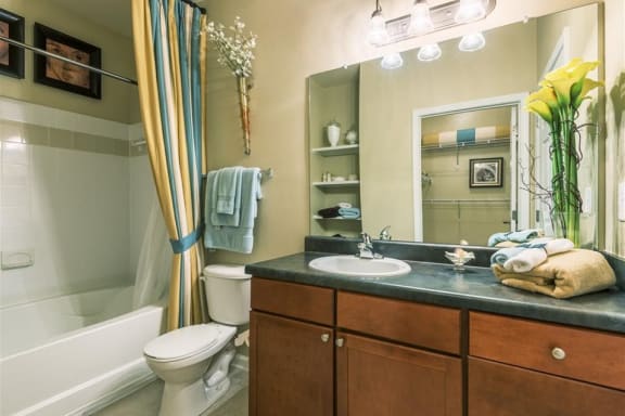 Garden Tub at Rose Heights Apartments, Raleigh