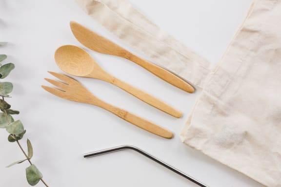 Plastic Free at Rose Heights Apartments, Raleigh, NC, 27613