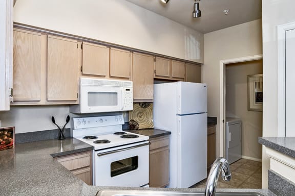 Fully-equipped kitchen with a stovetop, microwave, dishwasher and full-sized refrigerator