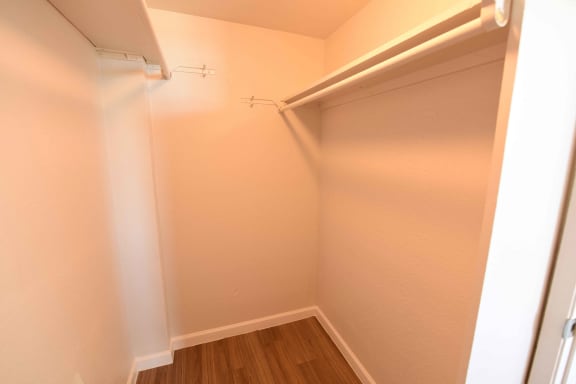 Abundant Closet Space
