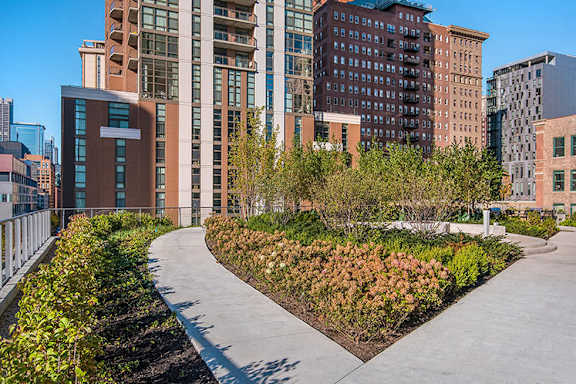 Elegant Exterior View at 1001 South State, Chicago, Illinois