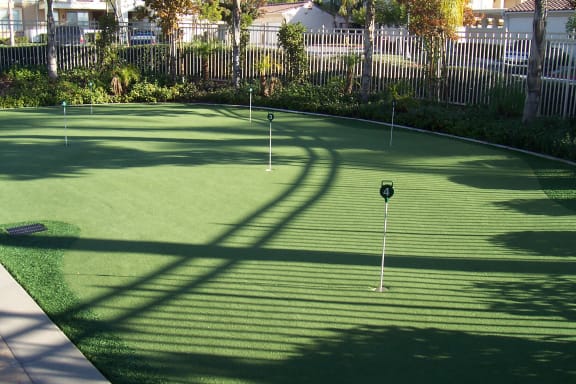 Backyard Lawn at TERRAZA DEL SOL, California, 91730