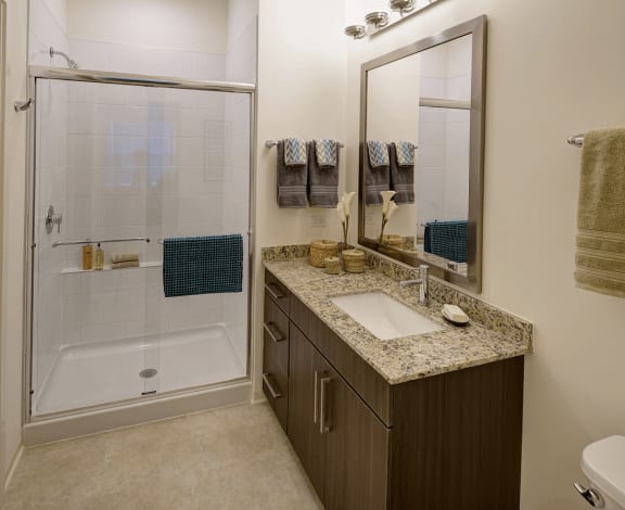 Walk-In Shower with Ceramic Tile at Courthouse Square Apartments, Wheaton, IL