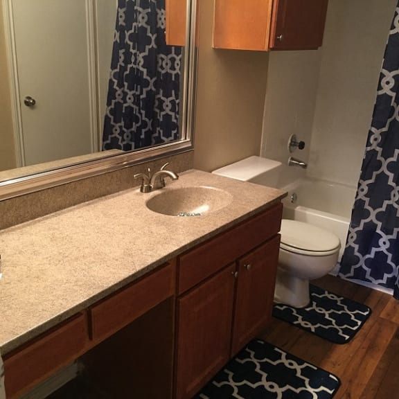 Bathroom at Timberglen Apartments, Dallas, TX, 75287