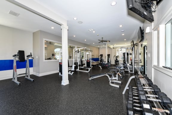 Cardio and Weight Training and Flat Screen TVs at Alden Place at South Square Apartments, Durham