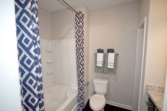 Oval Tub With Combo Shower at Ansley at Roberts Lake, North Carolina, 28704